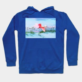 Roseate Spoonbill Flying Over Beach Hoodie